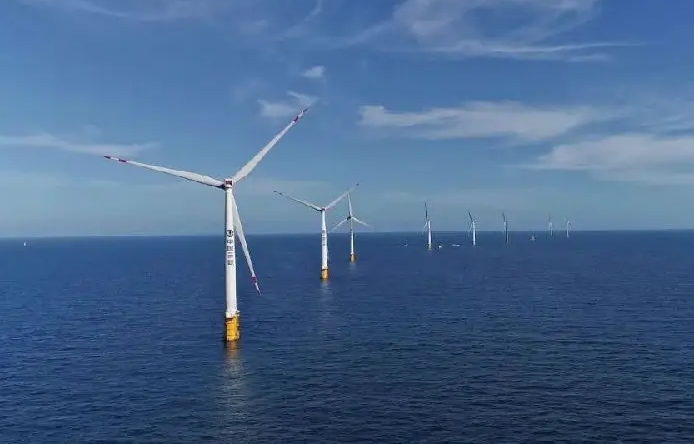 z6尊龙：细微之处见真章